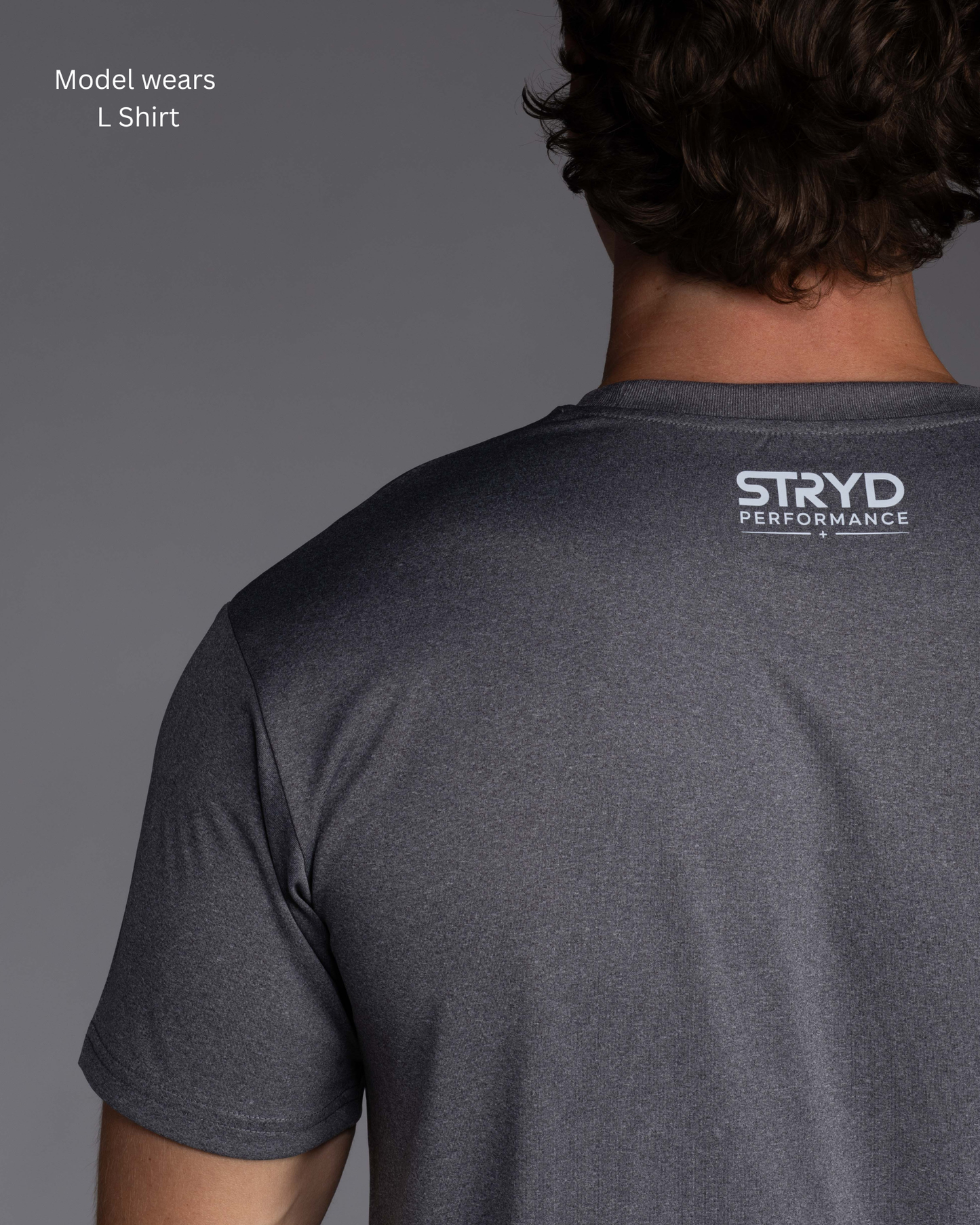 STRYD Performance I Like It Fast Active Tee in Shadow — back view. Men's premium training tee Australia.