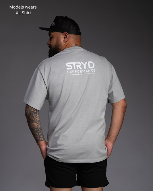 STRYD Performance I Like It Loose oversized tee in Faded Ash โ back view. Men's premium oversized gym tee.